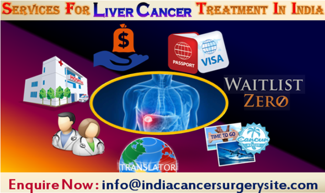 Services Offered by India Cancer Surgery Site for Liver Cancer Treatment in India